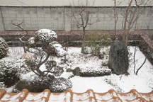 Snow Garden(2008-01-23)