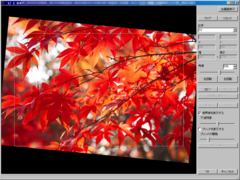 Digital Photo Professional 3.8.0 - 画像角度調整機能