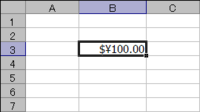 Excel 2003(SP3)_Cell Property_USD(2)
